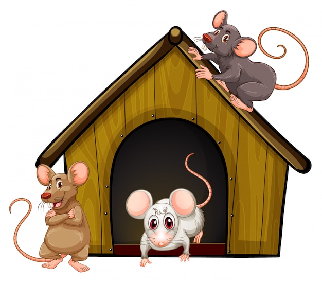 Mouse House Images - Free Download on Freepik