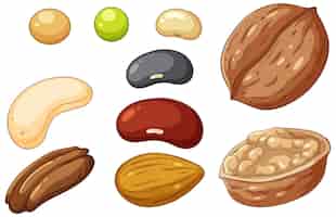 Free vector group of different nuts isolated