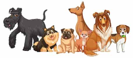 Free vector group of dog breeds on white background