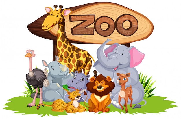 Бесплатное векторное изображение Группа диких животных