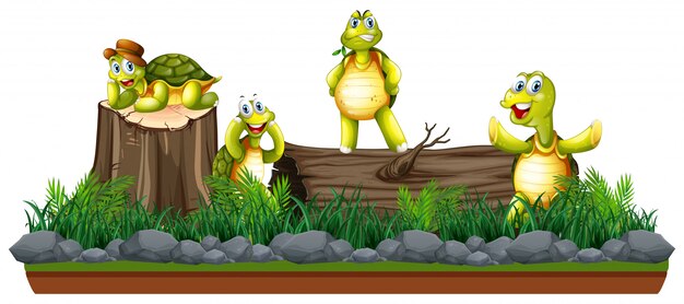Группа черепахи в природе
