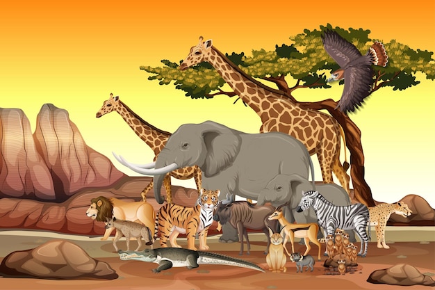 Free vector group of wild african animal in the forest scene