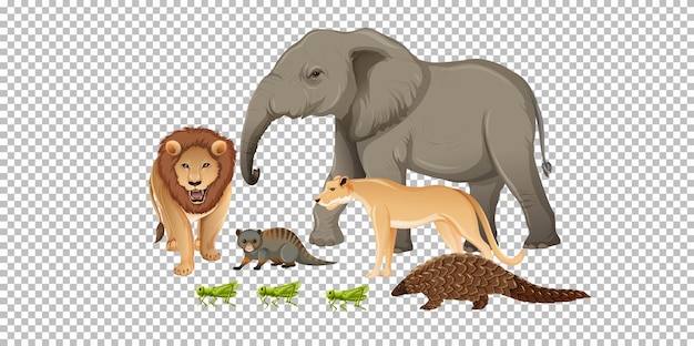 Gruppo di animali selvatici africani su sfondo trasparente