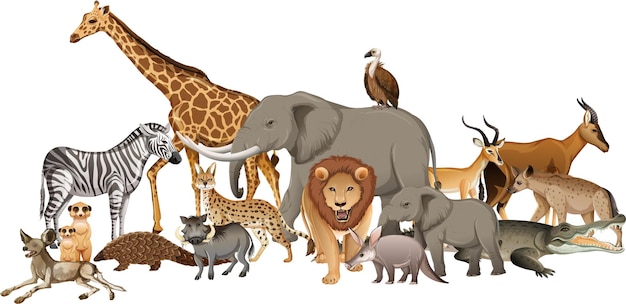 白の野生のアフリカの動物のグループ