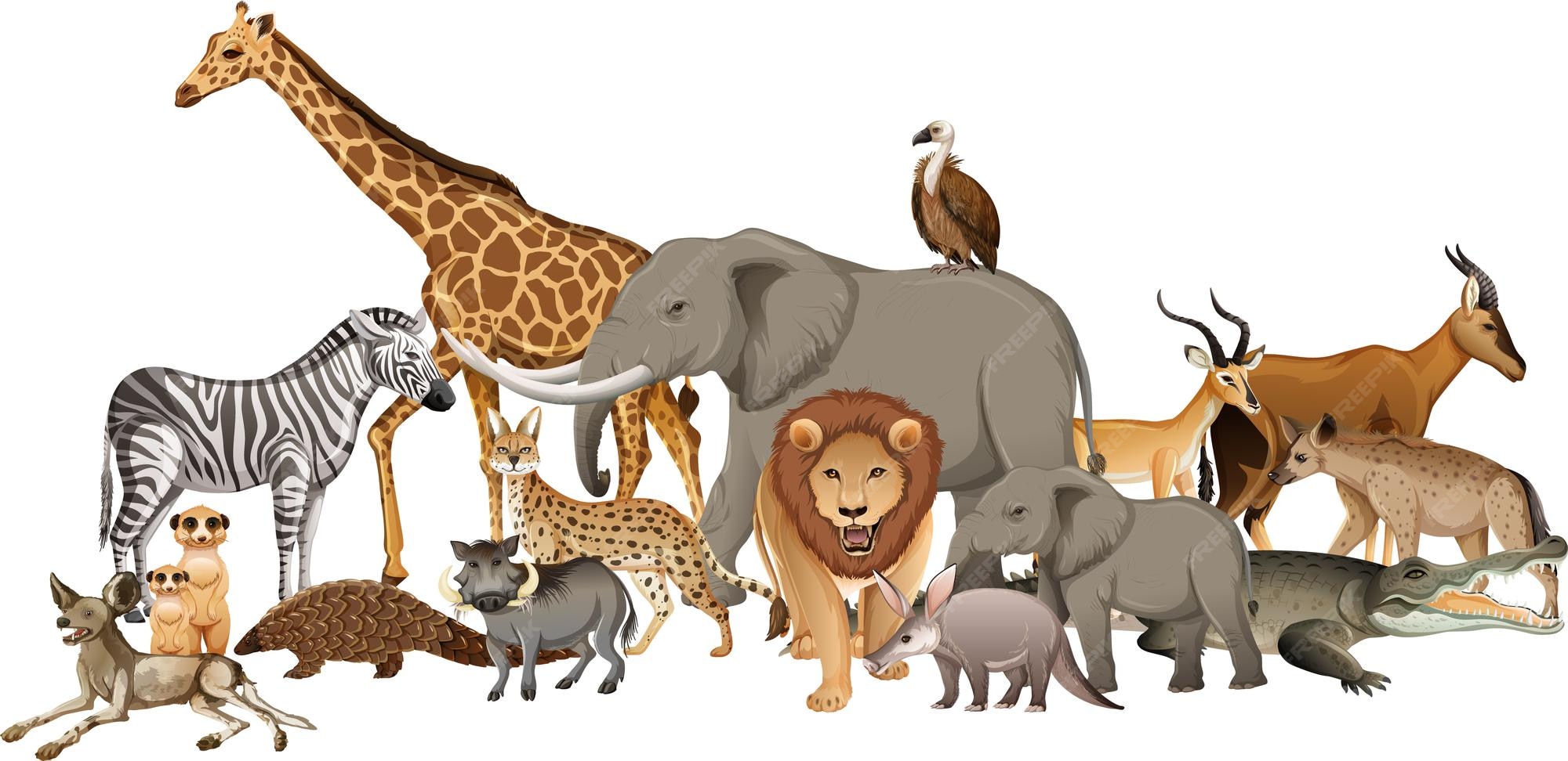 Top 168 + Animals animals animals animals - Lestwinsonline.com