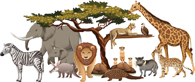 Group of wild african animal
