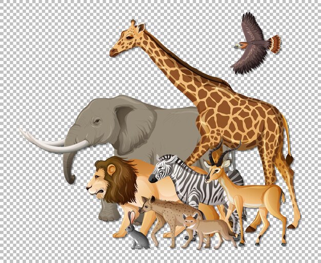 Group of wild african animals on transparent background