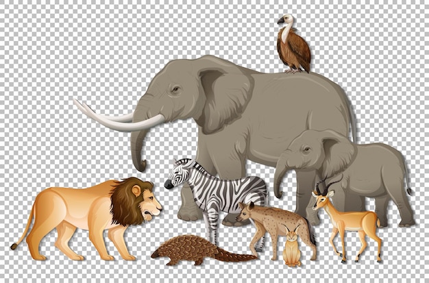 Free vector group of wild african animals on transparent background