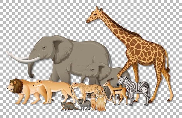 Free vector group of wild african animals on transparent background