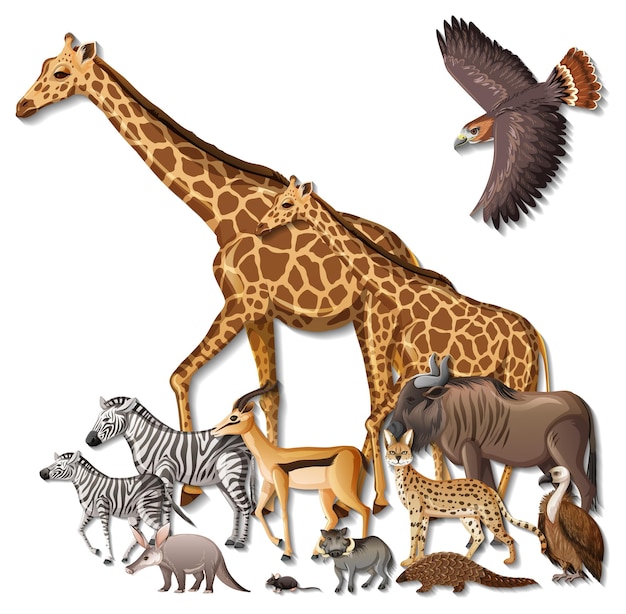 Free vector group of wild african animals on white background