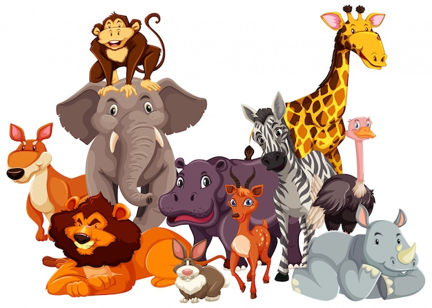 Free vector group of wild animal