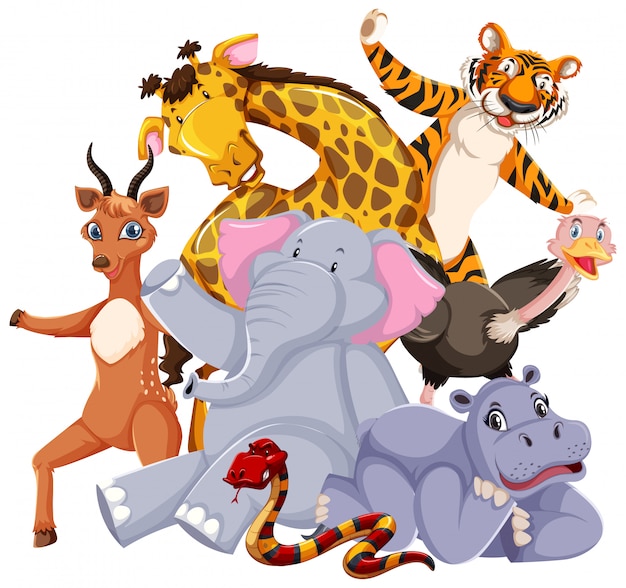 Free vector group of wild animals