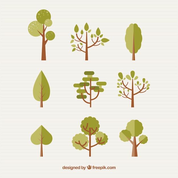 Free vector grove in flat design