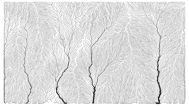 Growth pattern Generative branching structure Organic net of vessels texture