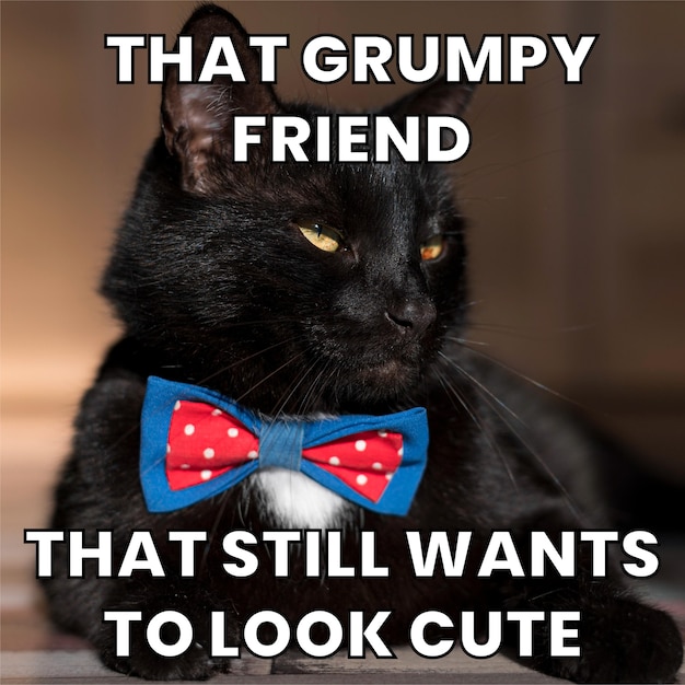 Free vector grumpy by cute meme with text