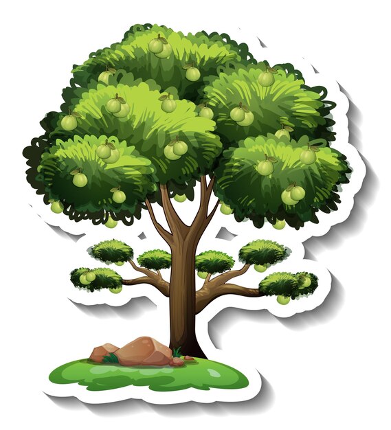 Guava tree sticker on white background