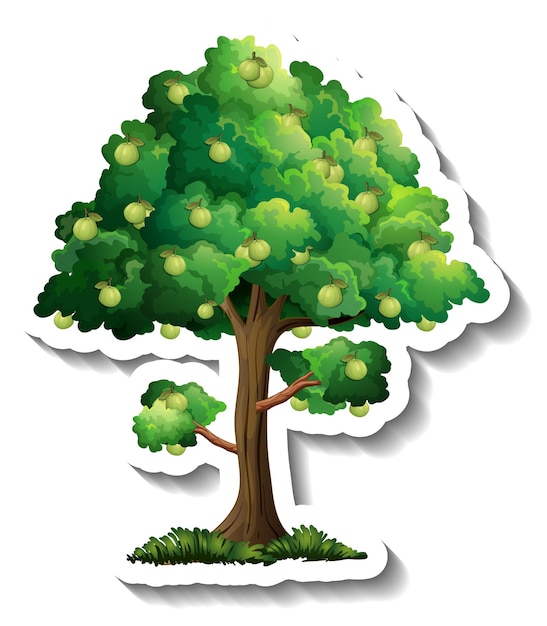 Guava tree sticker on white