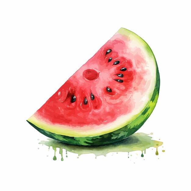 A half of fresh watermelon watercolor painting isolated