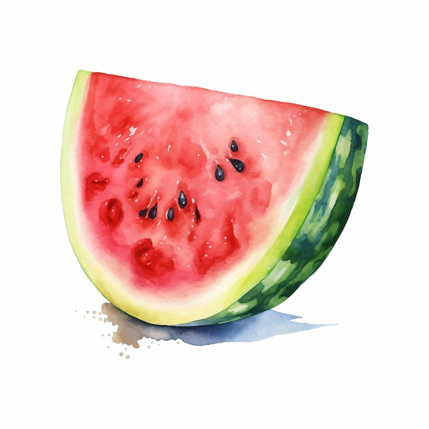 Free vector a half of fresh watermelon watercolor painting isolated