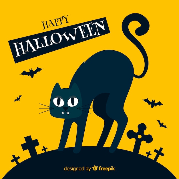 Halloween background with black cat