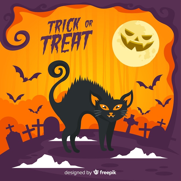 Black Cat Halloween Background: \