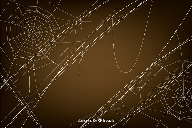 Halloween background with spiderweb