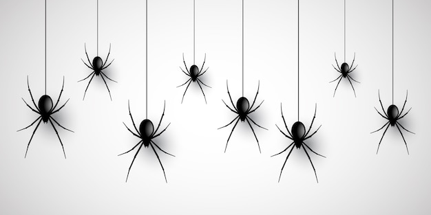 Halloween banner design with hanging spiders