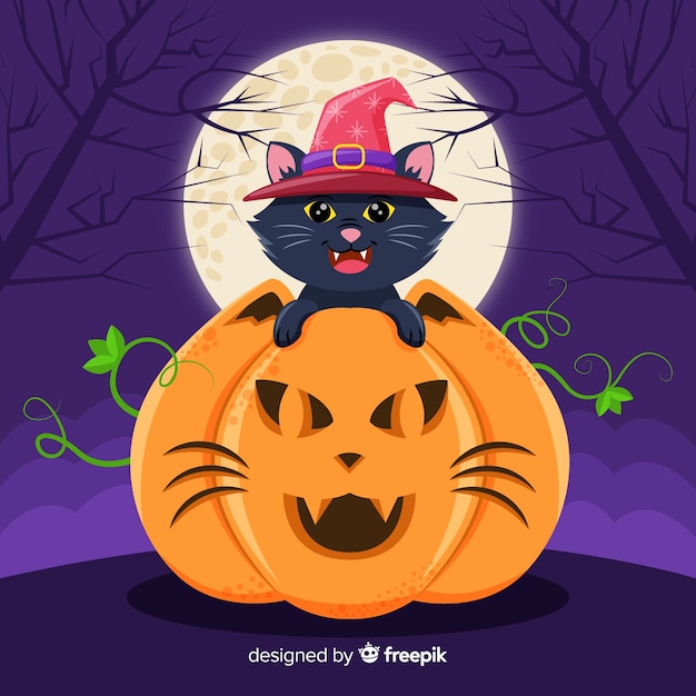 Halloween black cat in pumpkin with full moon