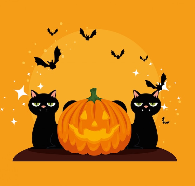 Halloween card with pumpkin and cats blacks