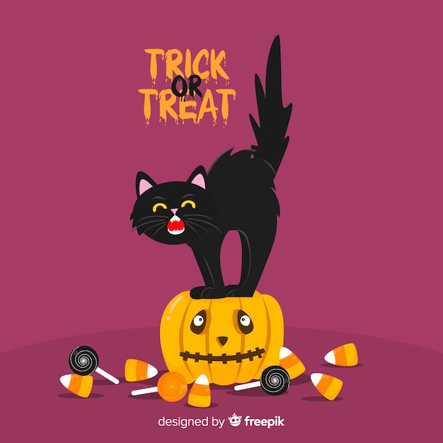 Halloween cat background in flat design