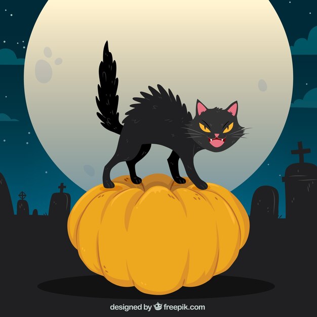 Halloween cat in the cemetery