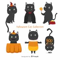 Free vector halloween cat collection in different poses