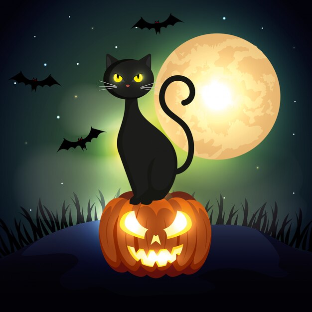 Halloween cat over pumpkin in dark night