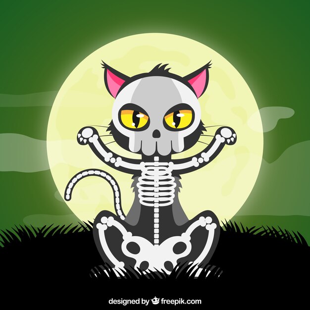 Хэллоуин кошка с скелетом