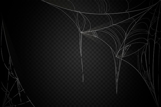 Halloween cobweb background theme