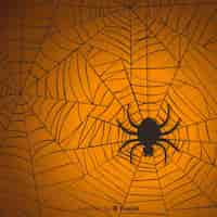 Free vector halloween cobweb background