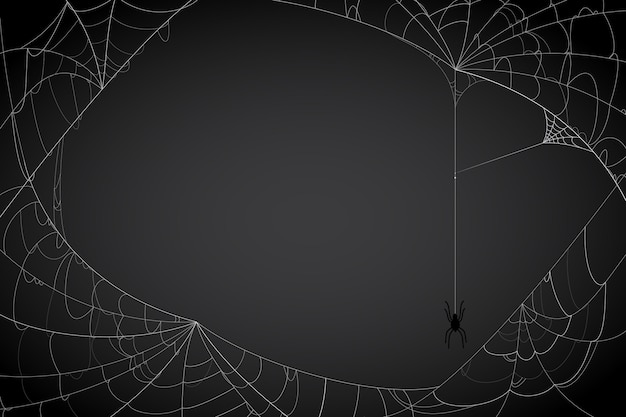 Free vector halloween cobweb background