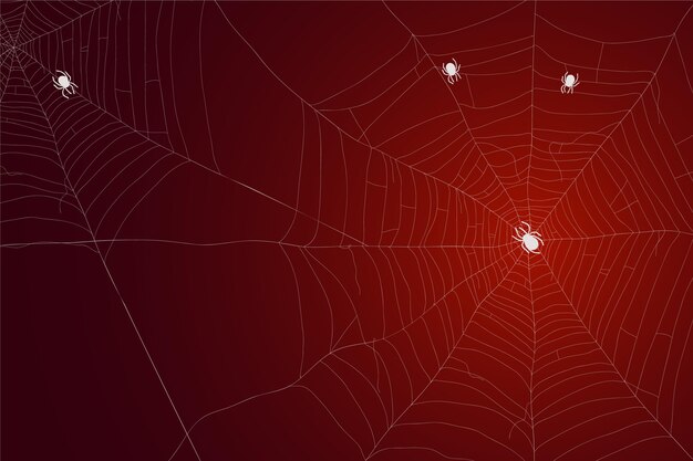 Halloween cobweb wallpaper