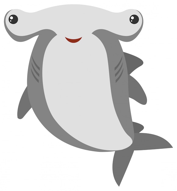 Акула-молот с счастливым лицом