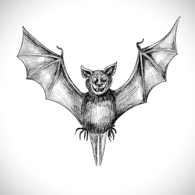 Vettore gratuito mano disegnare disegno schizzo pipistrello