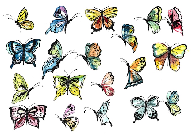 Free vector hand draw collection of pretty colorful butterflies watercolor design