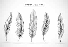 Free vector hand draw feather sketch set design