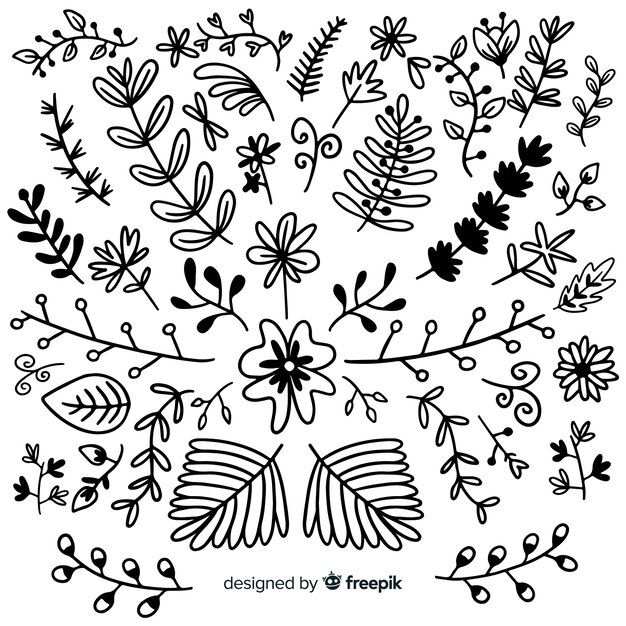 Hand draw floral decoration elements