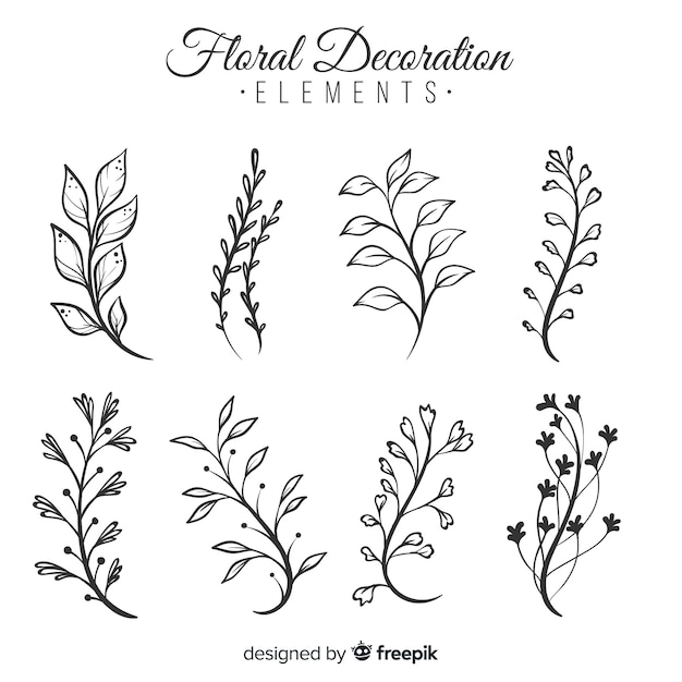 Hand draw floral decoration elements