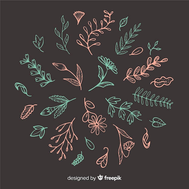 Hand draw floral decoration elements