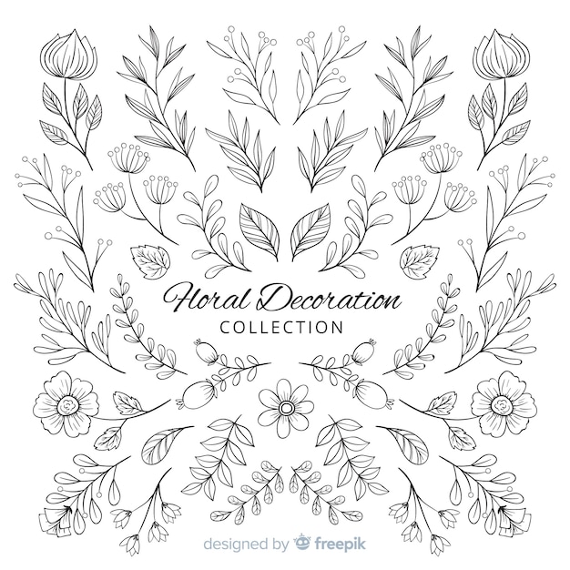 Hand Draw Floral Decoration Elements