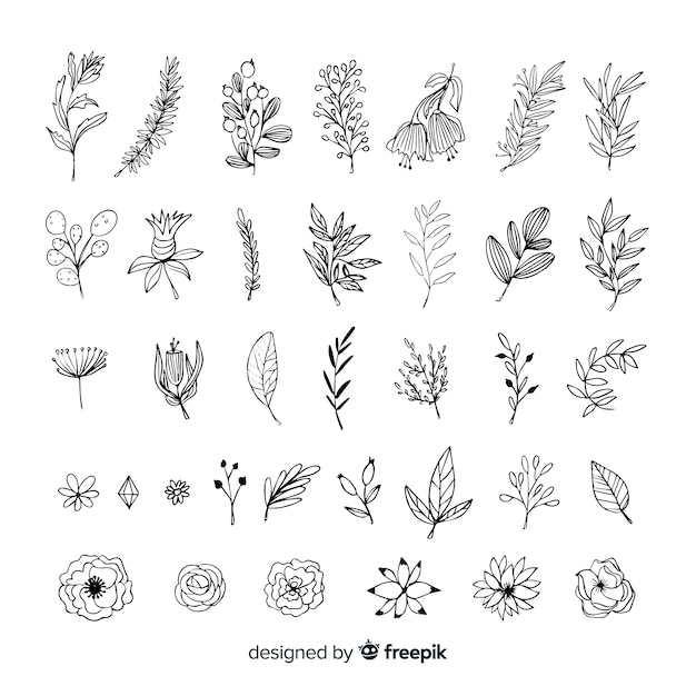 Free vector hand draw floral decoration elements