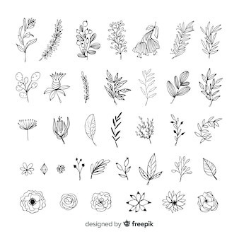 Hand draw floral decoration elements