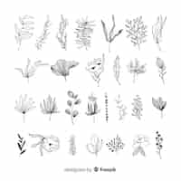 Free vector hand draw floral decoration elements