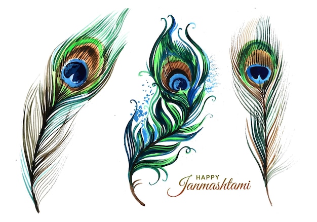 手描きの孔雀の羽セットのデザイン